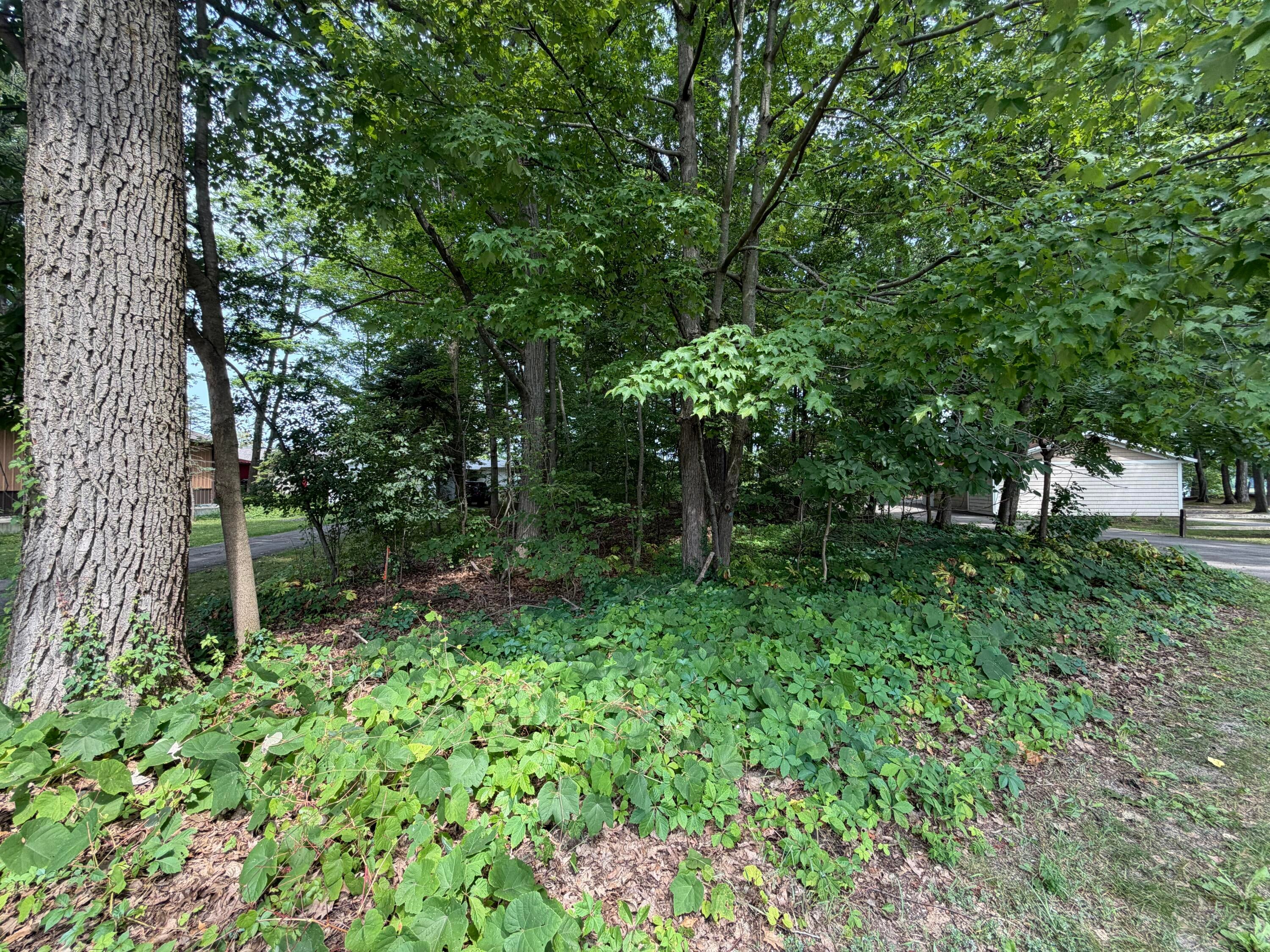 Listing 31