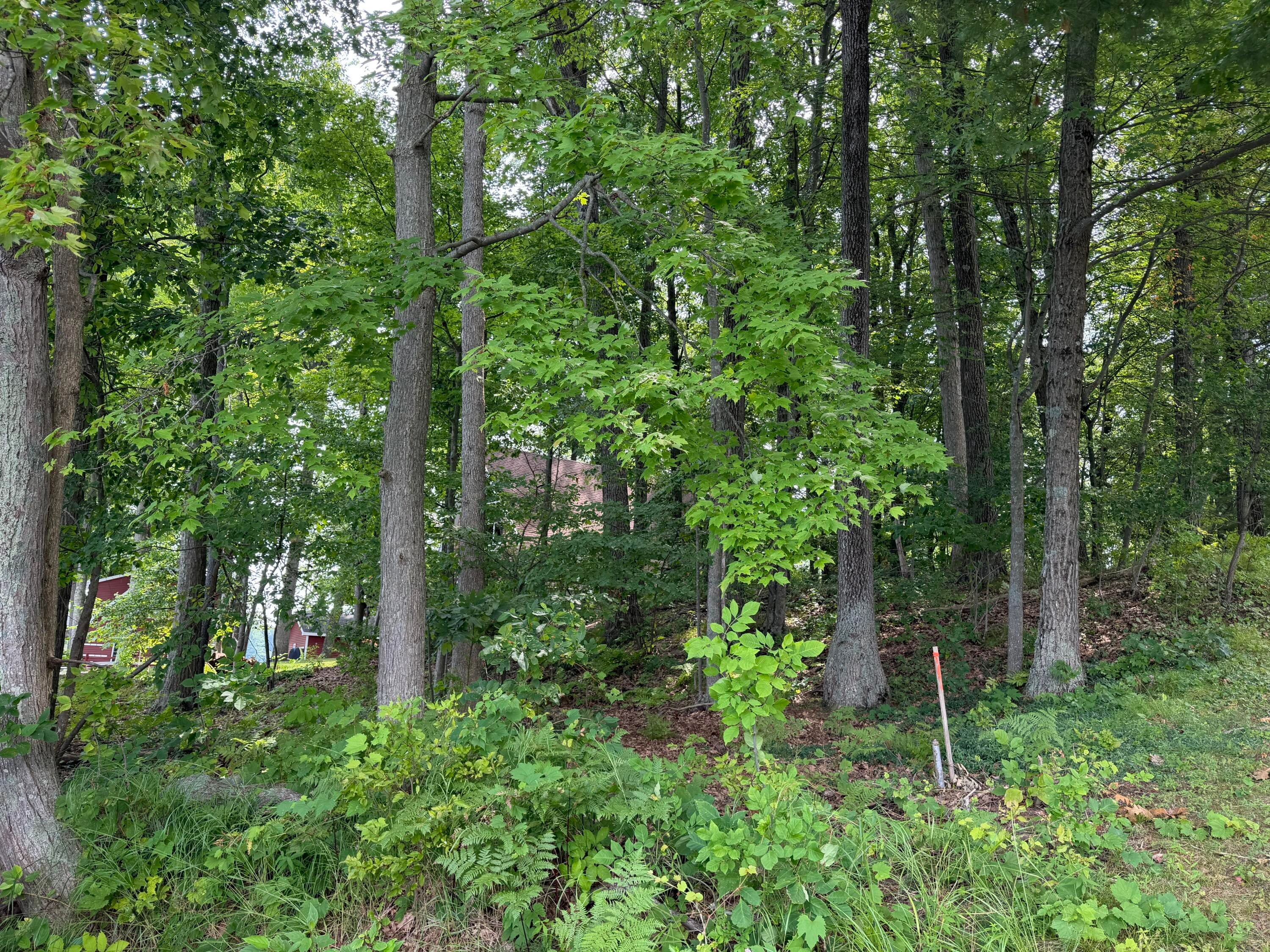 Listing 31