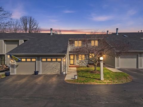 Photo of 272 Whitlock Street, Saline, MI 48176 (MLS # 26013110)