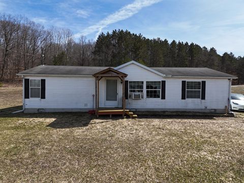 Photo of 15450 Johnson Road, Kaleva, MI 49645 (MLS # 26013578)