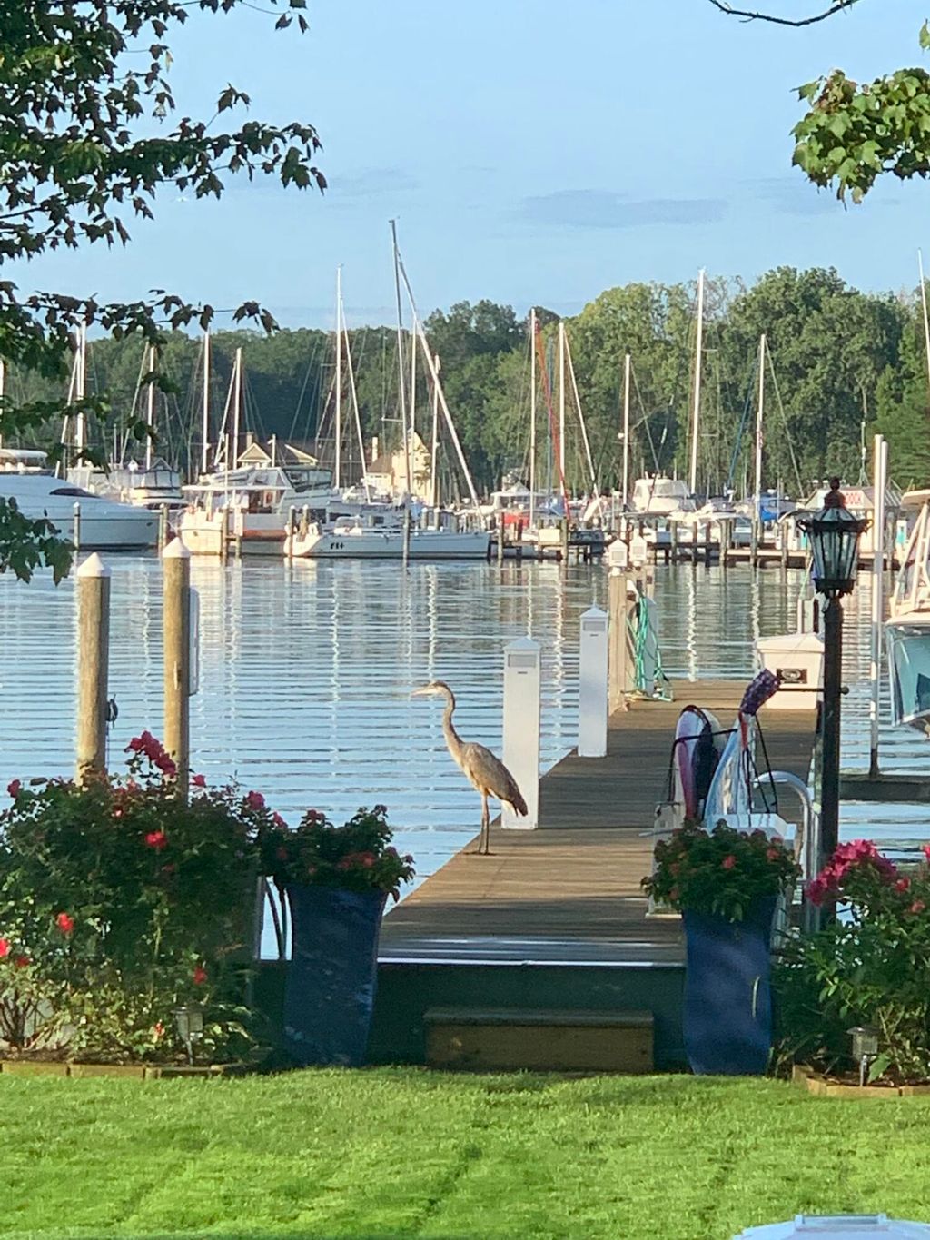 Photo of 1738 Waukazoo Drive, Holland, MI 49424 (MLS # 26003512)