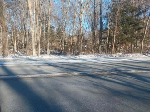 Photo of Lots A&B 142nd Avenue, Dorr, MI 49323 (MLS # 26002037)