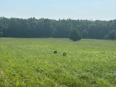 Photo of 62619 N CR 365 Road, Lawrence, MI 49064 (MLS # 25036285)