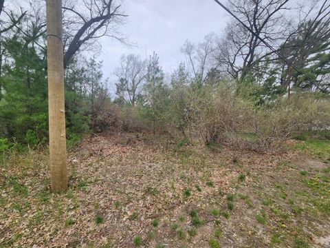 Photo of 3088 Nelson Street, Manistee, MI 49660 (MLS # 26018794)