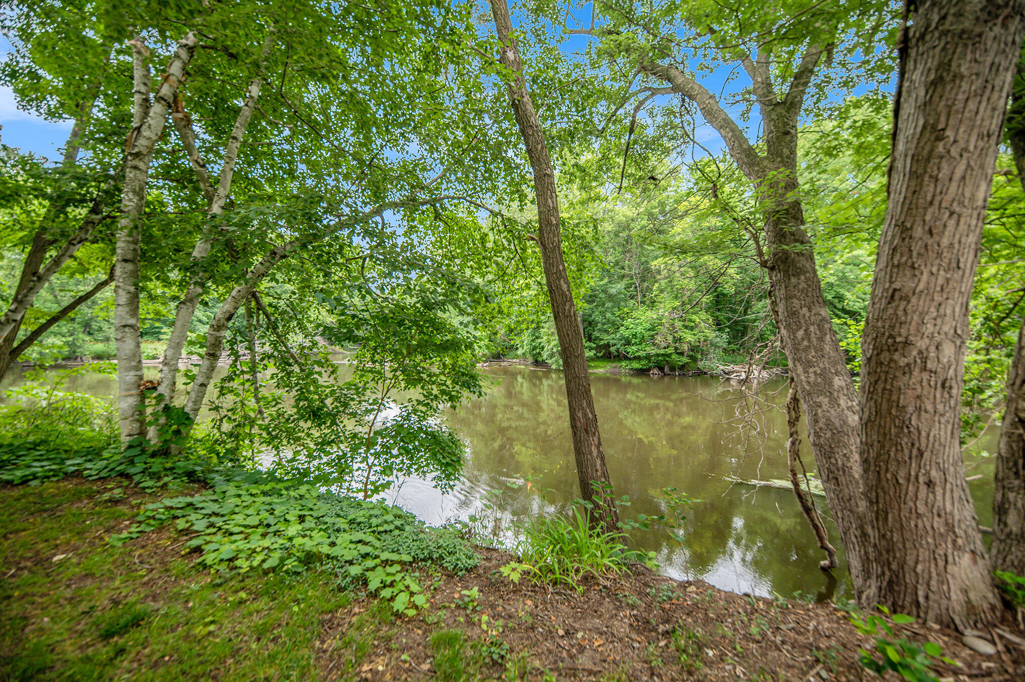 View Plainwell, MI 49080 property