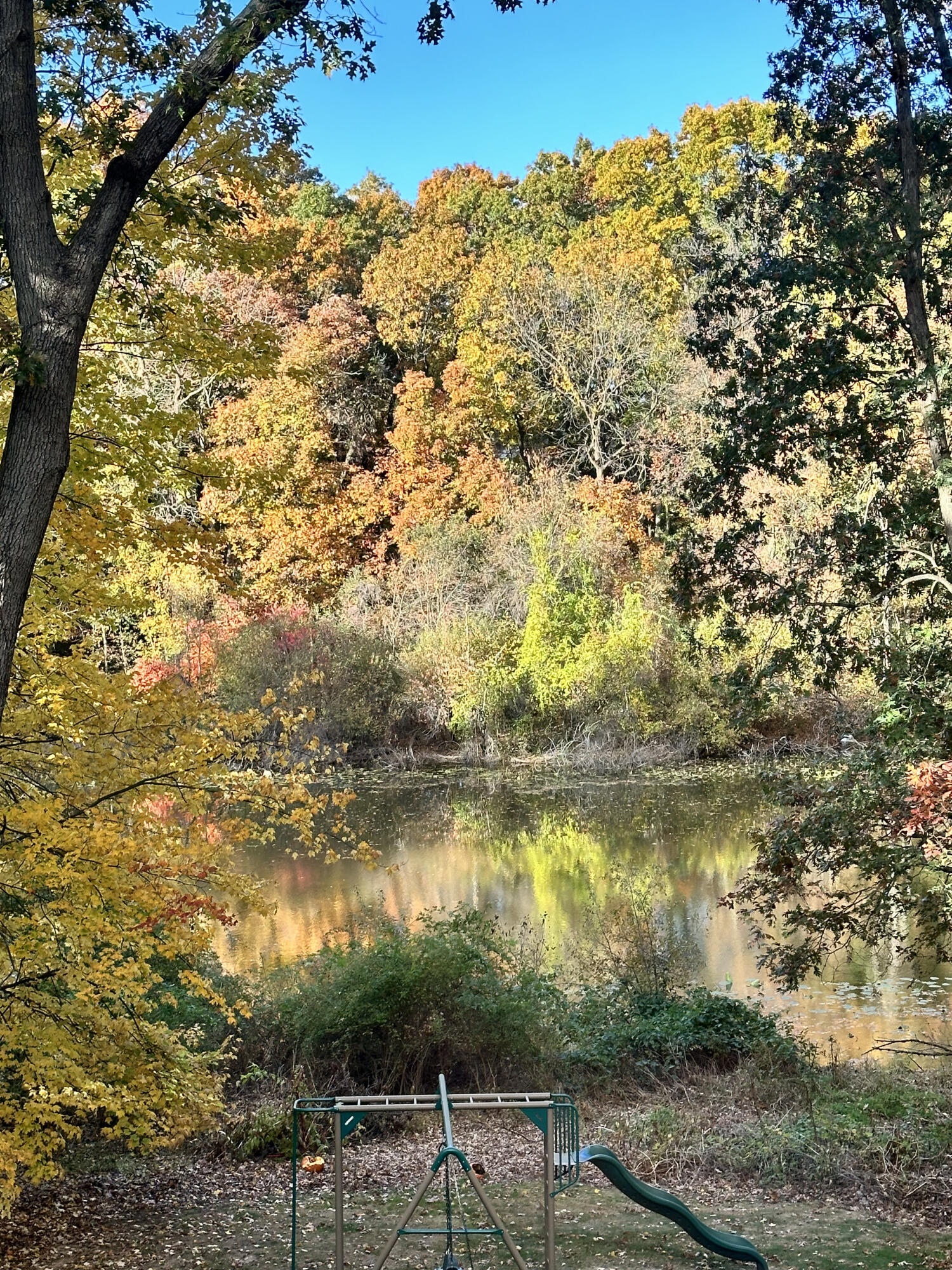 5660 Saddle Club Drive