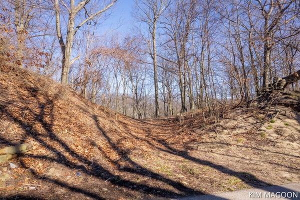 LOT 45 VALLEYWOOD COURT, HOLLAND, MI 49423 - Image 6eb38beb41ca93d81526e2441f4ea4a3/1863368282