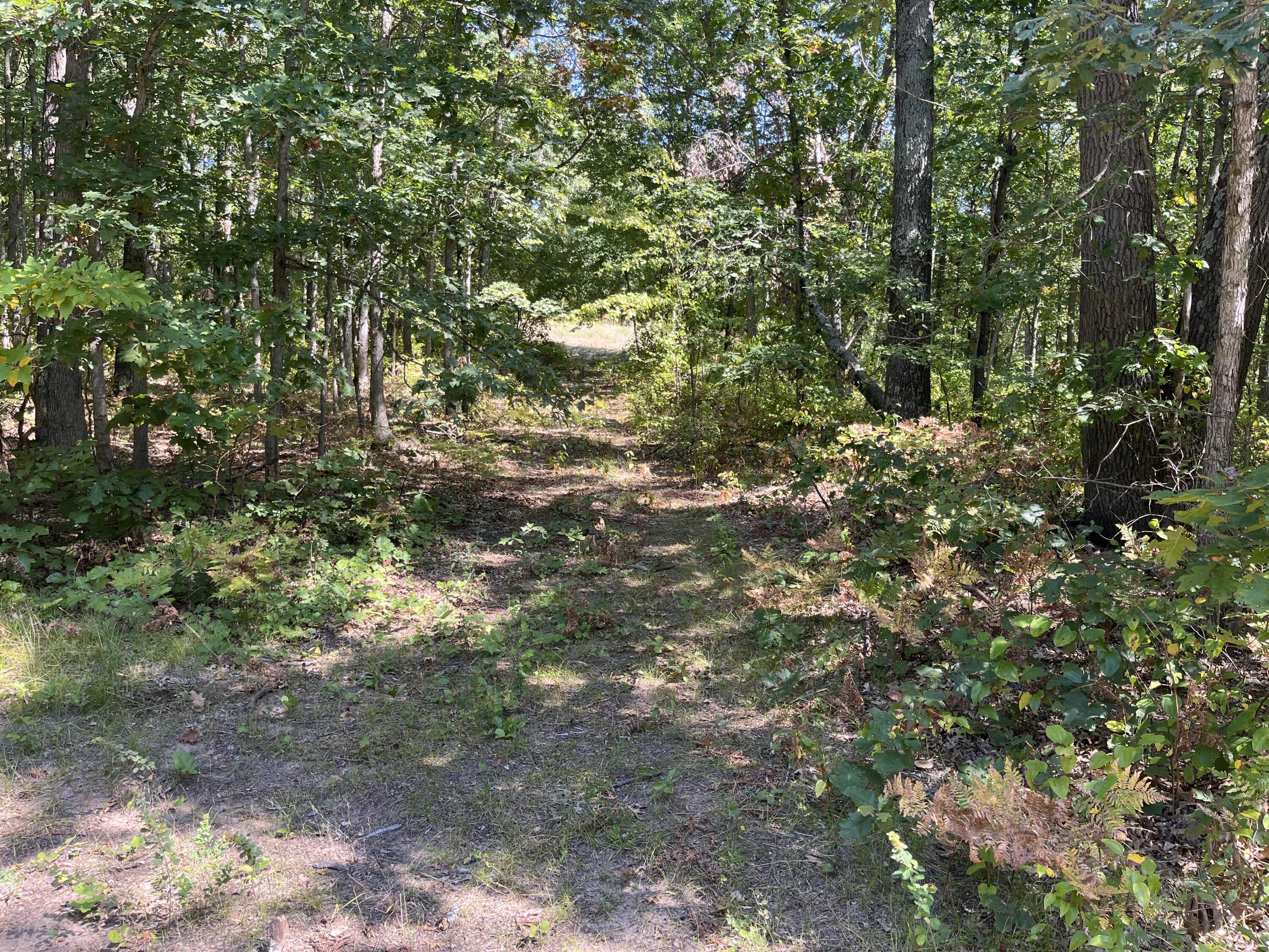 Pullman, Michigan 49450, United States, ,Land,Pending,211490