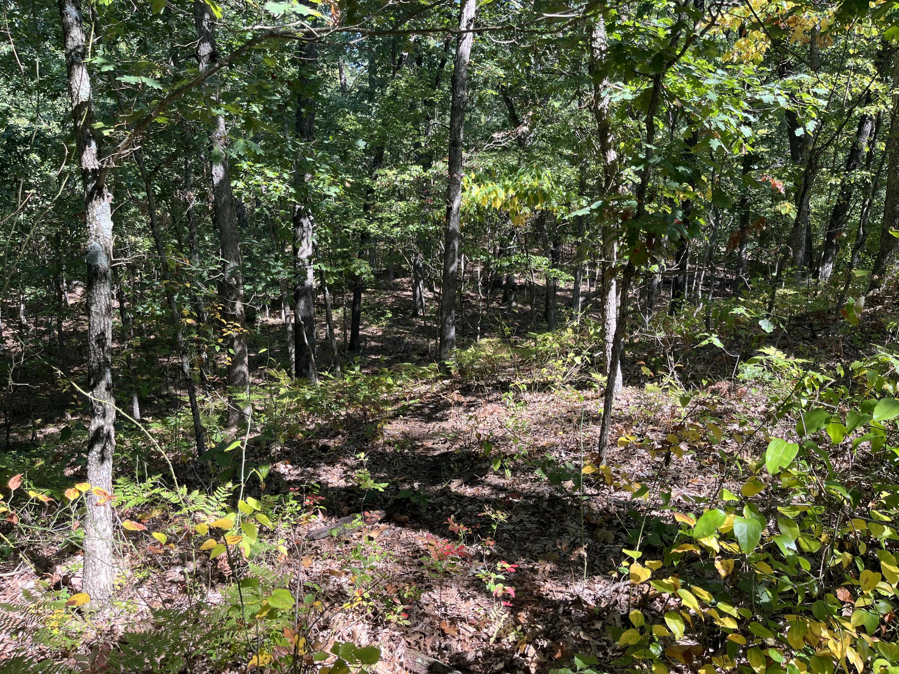 Pullman, Michigan 49450, United States, ,Land,Pending,211490