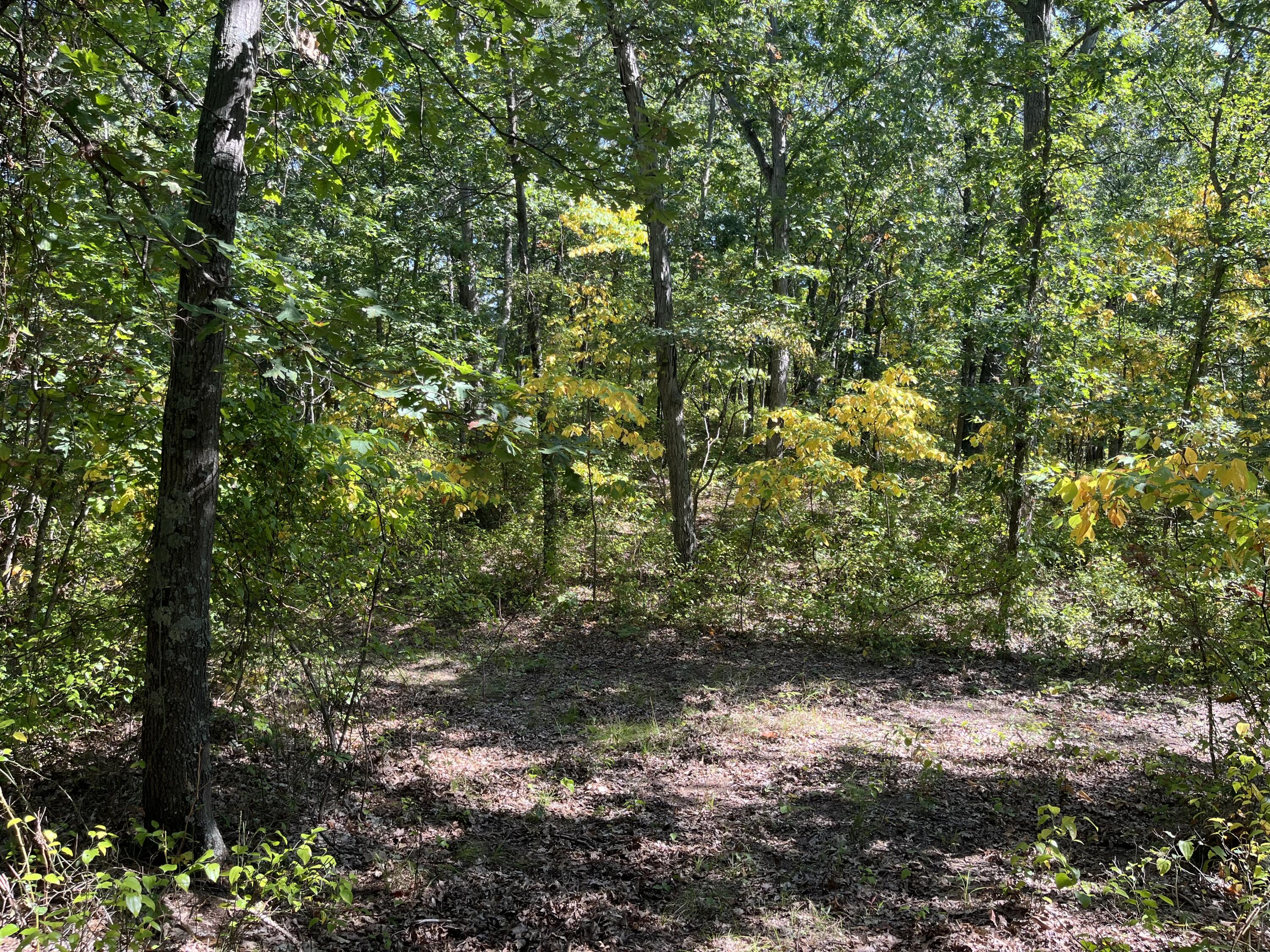 Pullman, Michigan 49450, United States, ,Land,Pending,211490