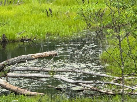 Photo of V/L 200th Ave, Tustin, MI 49688 (MLS # 25027256)