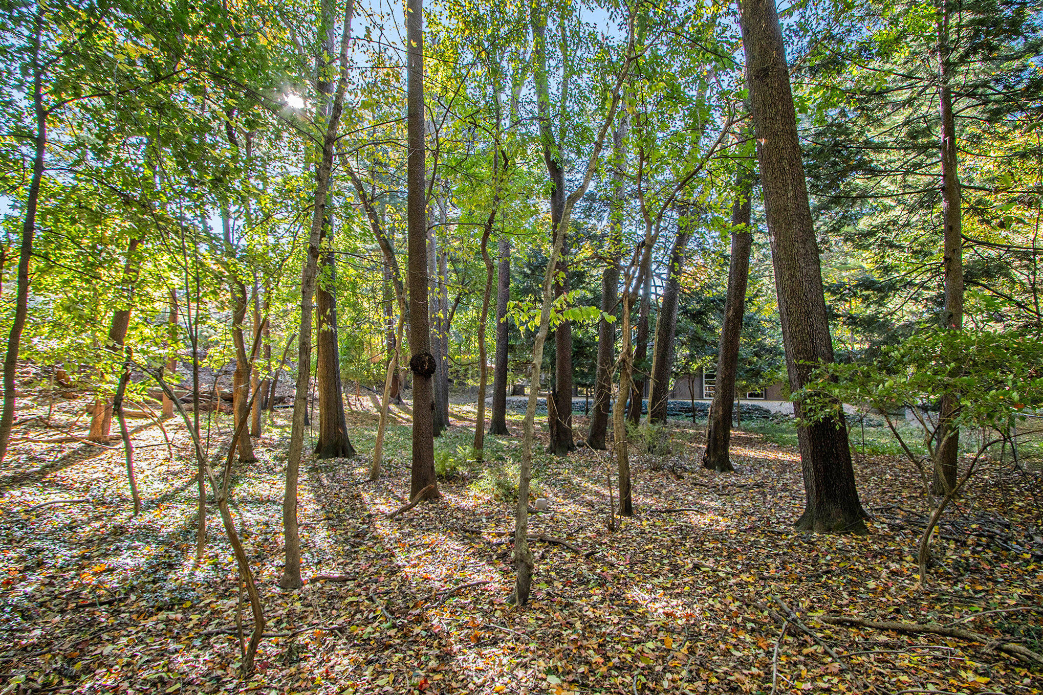 Kalamazoo, Michigan 49008, United States, 4 Bedrooms Bedrooms, ,3 BathroomsBathrooms,Residential,Active,235603