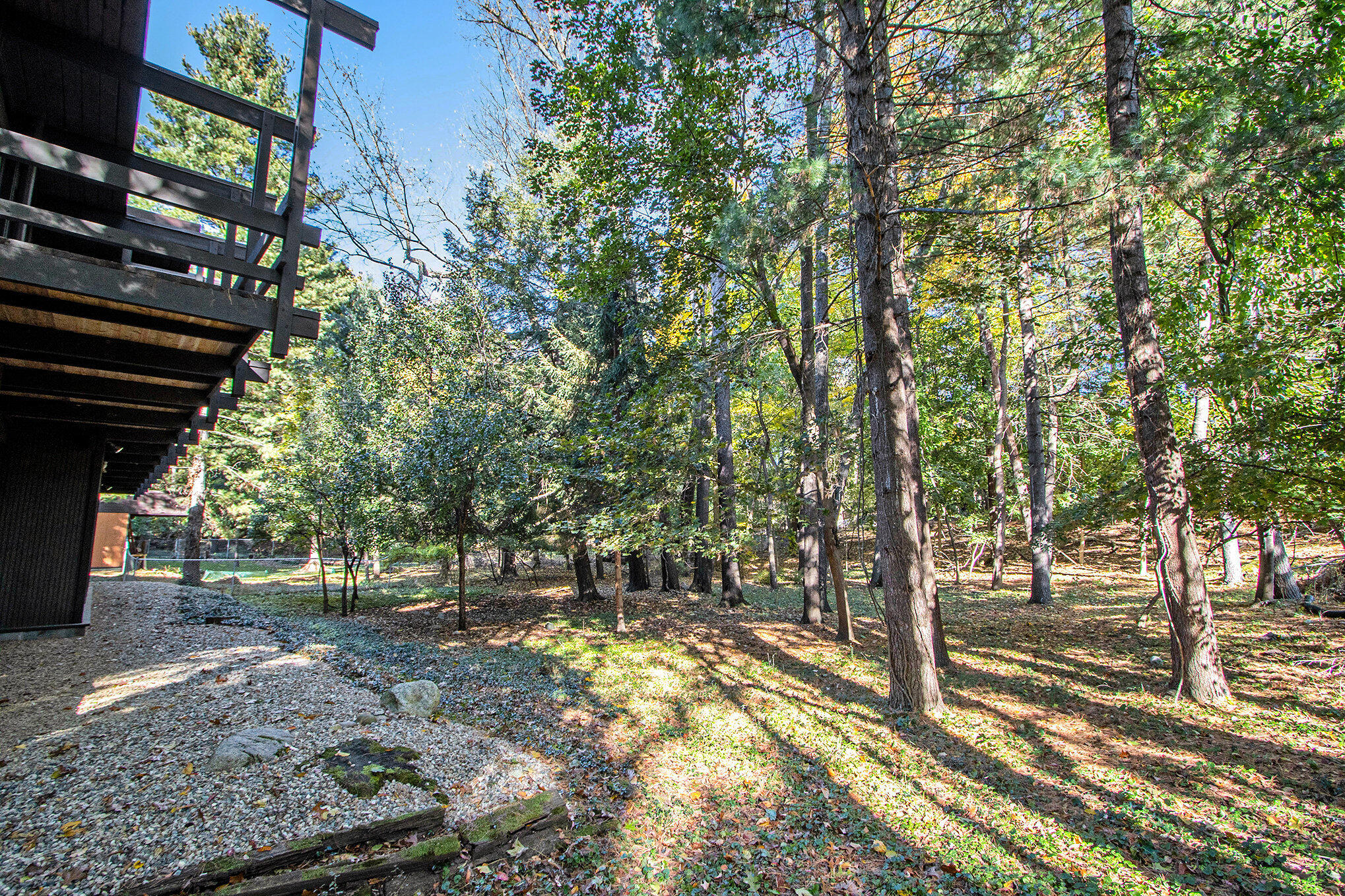 Kalamazoo, Michigan 49008, United States, 4 Bedrooms Bedrooms, ,3 BathroomsBathrooms,Residential,Active,235603