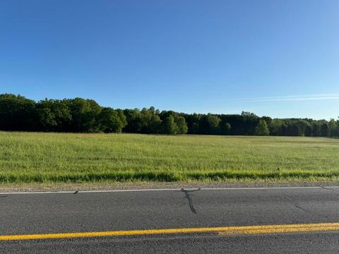 12828 Buchanan Road Stanwood MI 49346