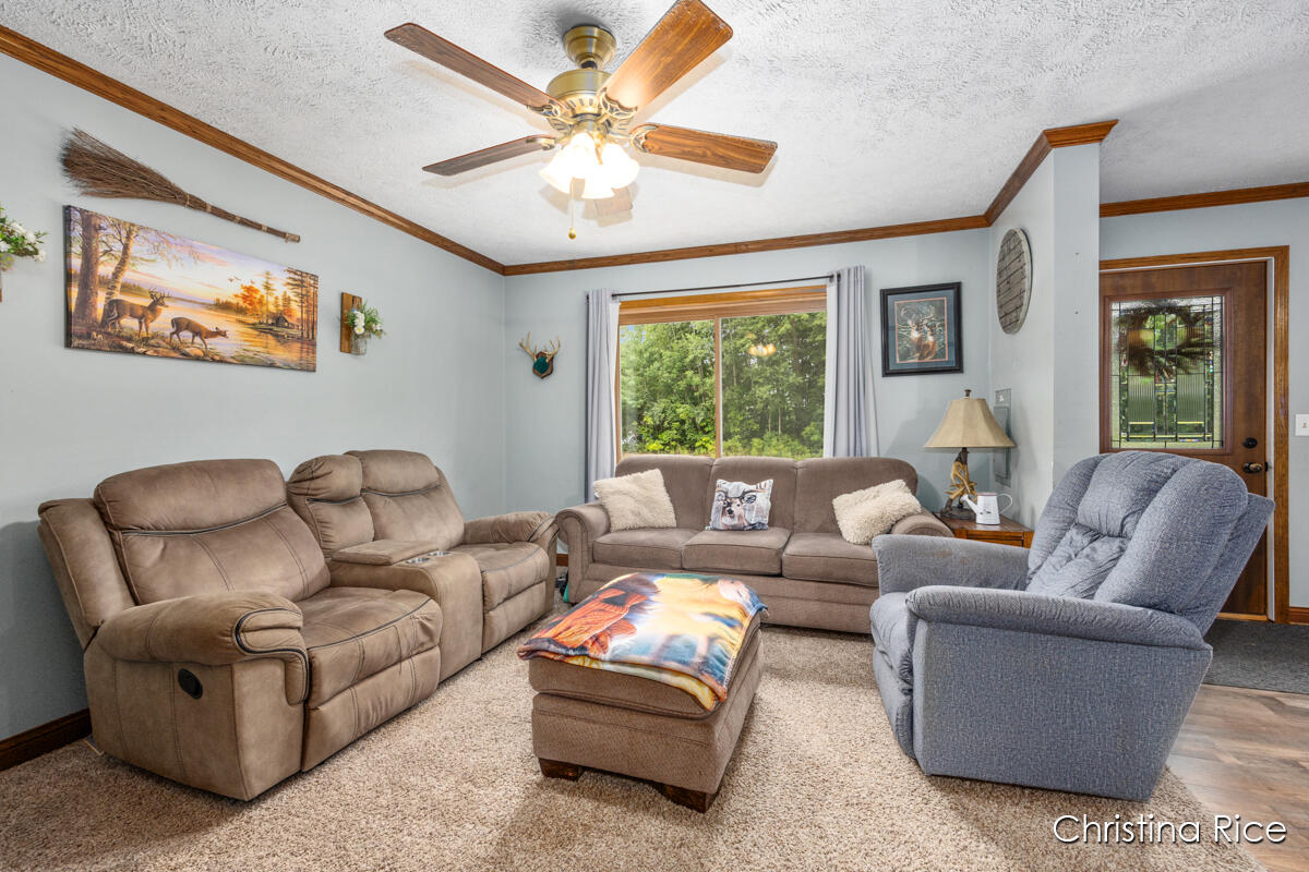 3862 E Shore Drive, Stanton, MI 48888 | MLS 25042569 | Listing ...