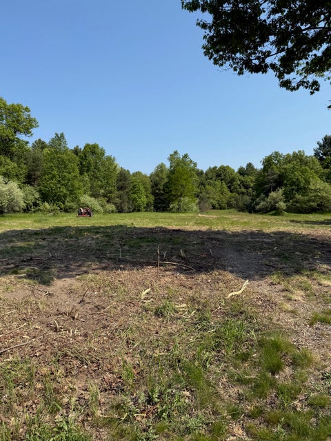 Photo of 1130 E Parkdale Avenue, Manistee, MI 49660 (MLS # 25004158)
