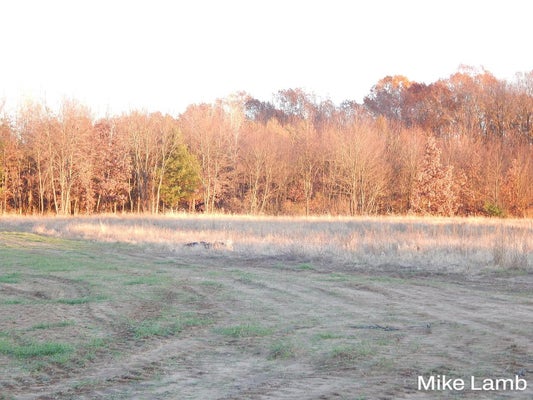 9340 SPARTA AVE NW # 5, SPARTA, MI 49345 - Image 713060432c575ce112d7d06f4e0c5945/3949372278