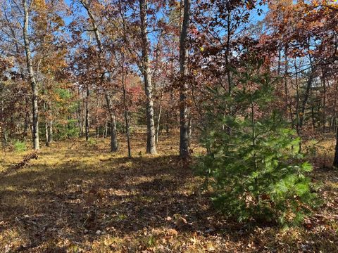 Photo of Parcel 9 County Line Road, Free Soil, MI 49411 (MLS # 26009987)