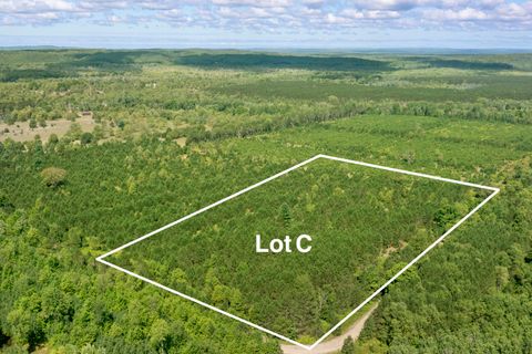 Photo of Wallin Road, Thompsonville, MI 49683 (MLS # 26003237)