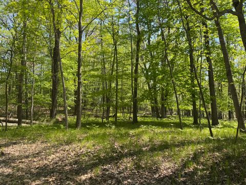 9236 Lost Canyon Court Canadian Lakes MI 49346