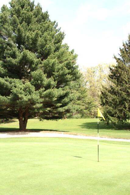 Grand Beach, Michigan 49117, United States, ,Land,Active,165229