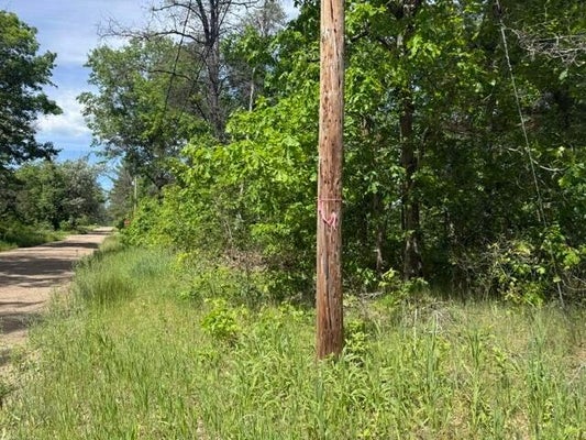 W PRINCETON DR, BALDWIN, MI 49304 - Image 7227c70880e7e8aaf4a0da9b9f3f24cf/372643777