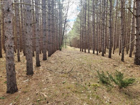 Photo of 2398 Bittersweet Drive, Manistee, MI 49660 (MLS # 26020617)