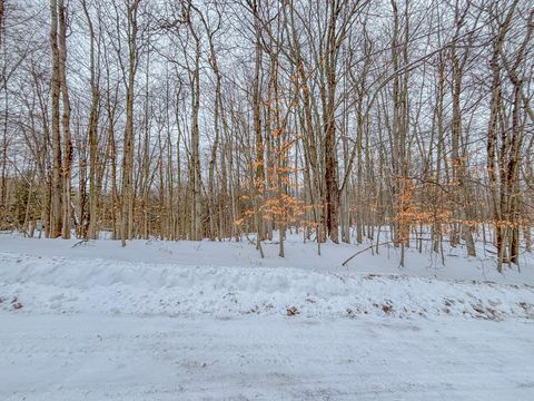 12349 Wagon Wheel Trail Canadian Lakes MI 49346