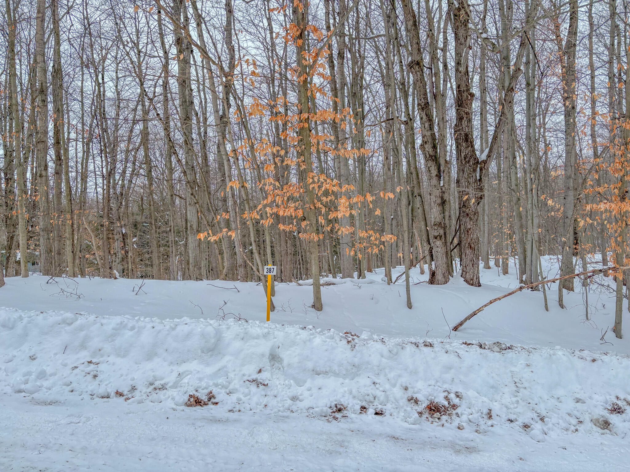 12349 Wagon Wheel Trail