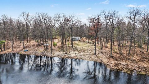 Photo of 10746 N Beaver Trail, Bitely, MI 49309 (MLS # 26016954)