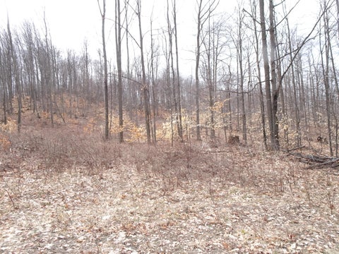 Photo of L Chief Road, Bear Lake, MI 49614 (MLS # 26033449)