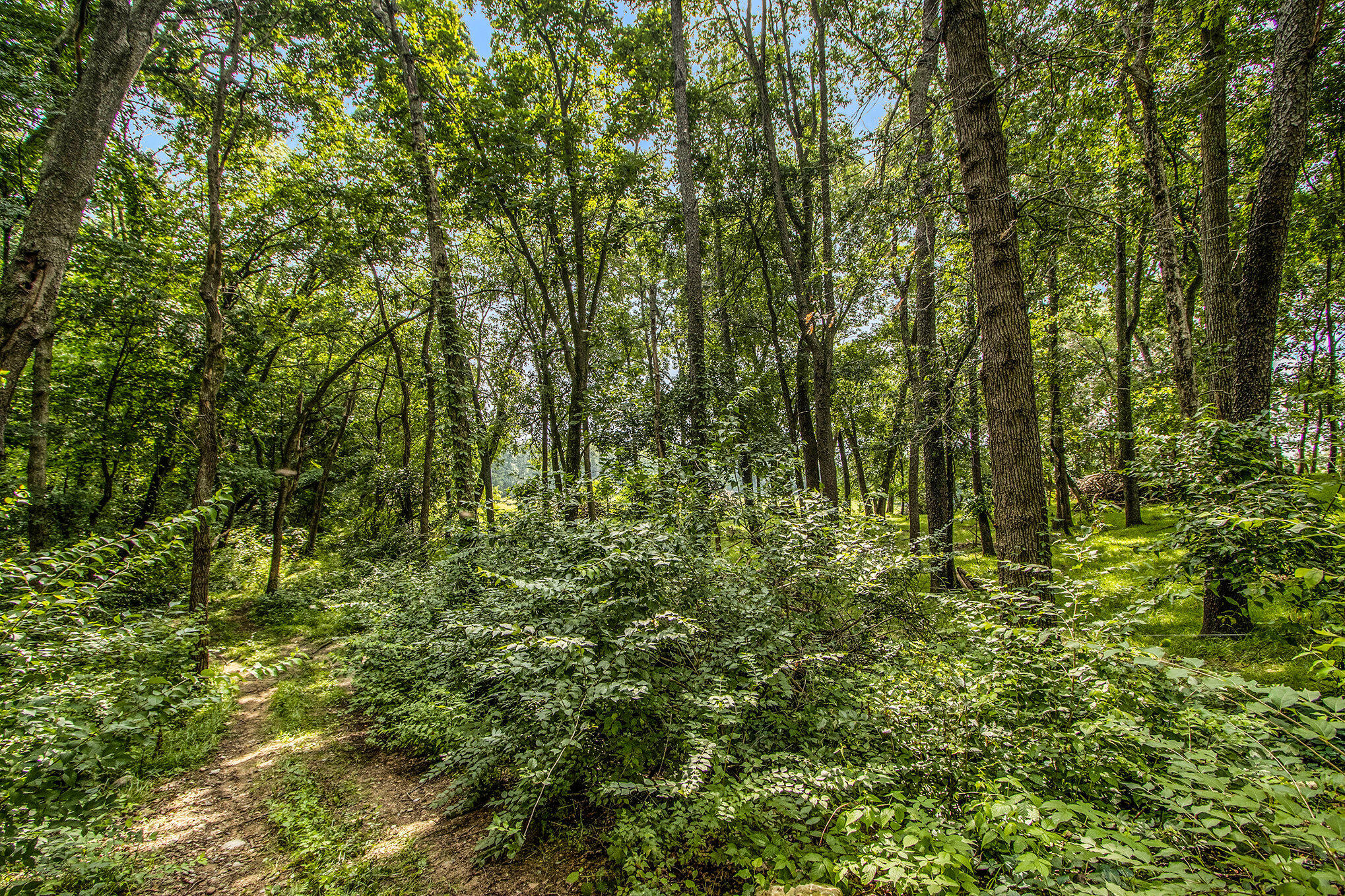 Sturgis, Michigan 49091, United States, ,Land,Active,168204