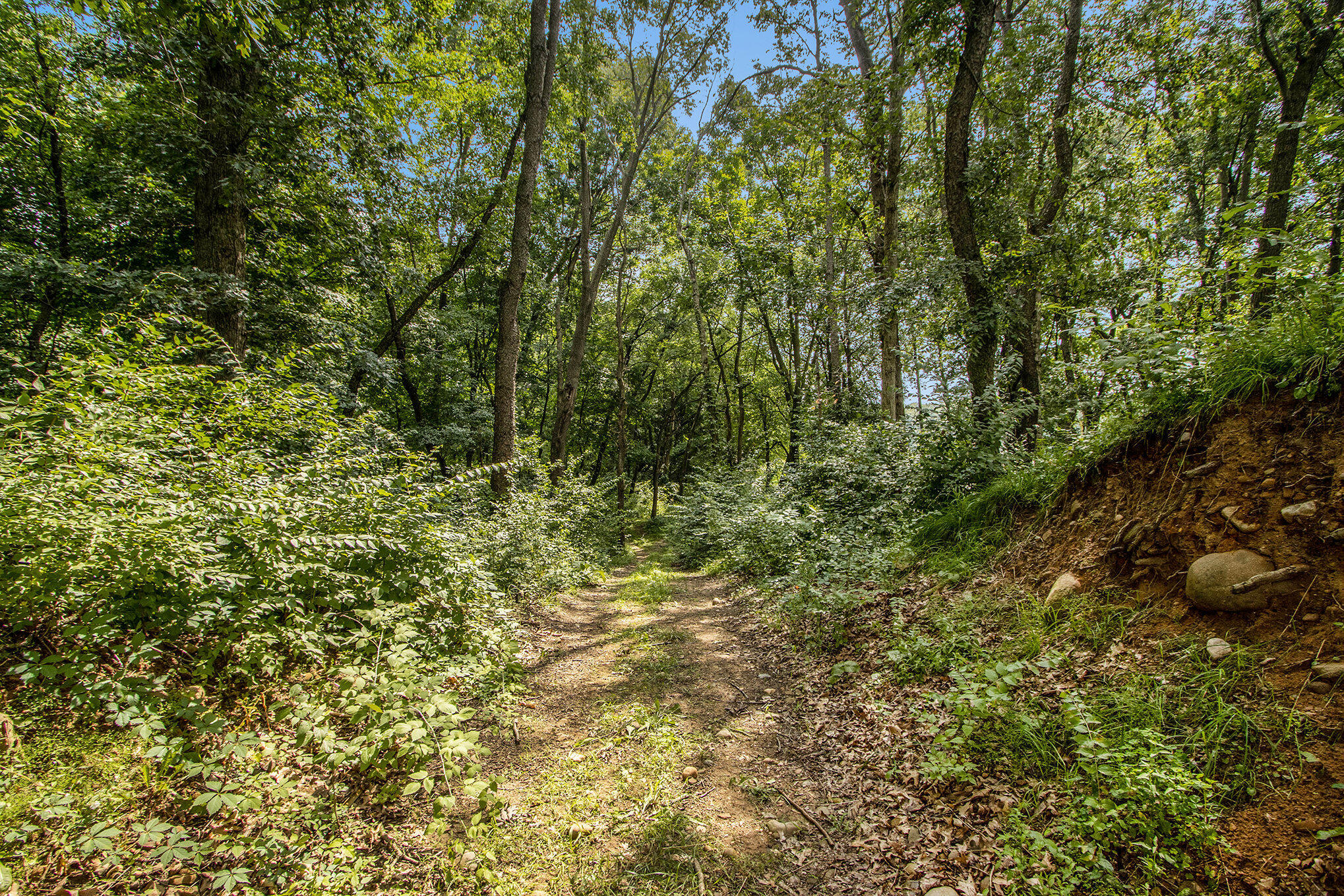 Sturgis, Michigan 49091, United States, ,Land,Active,168204