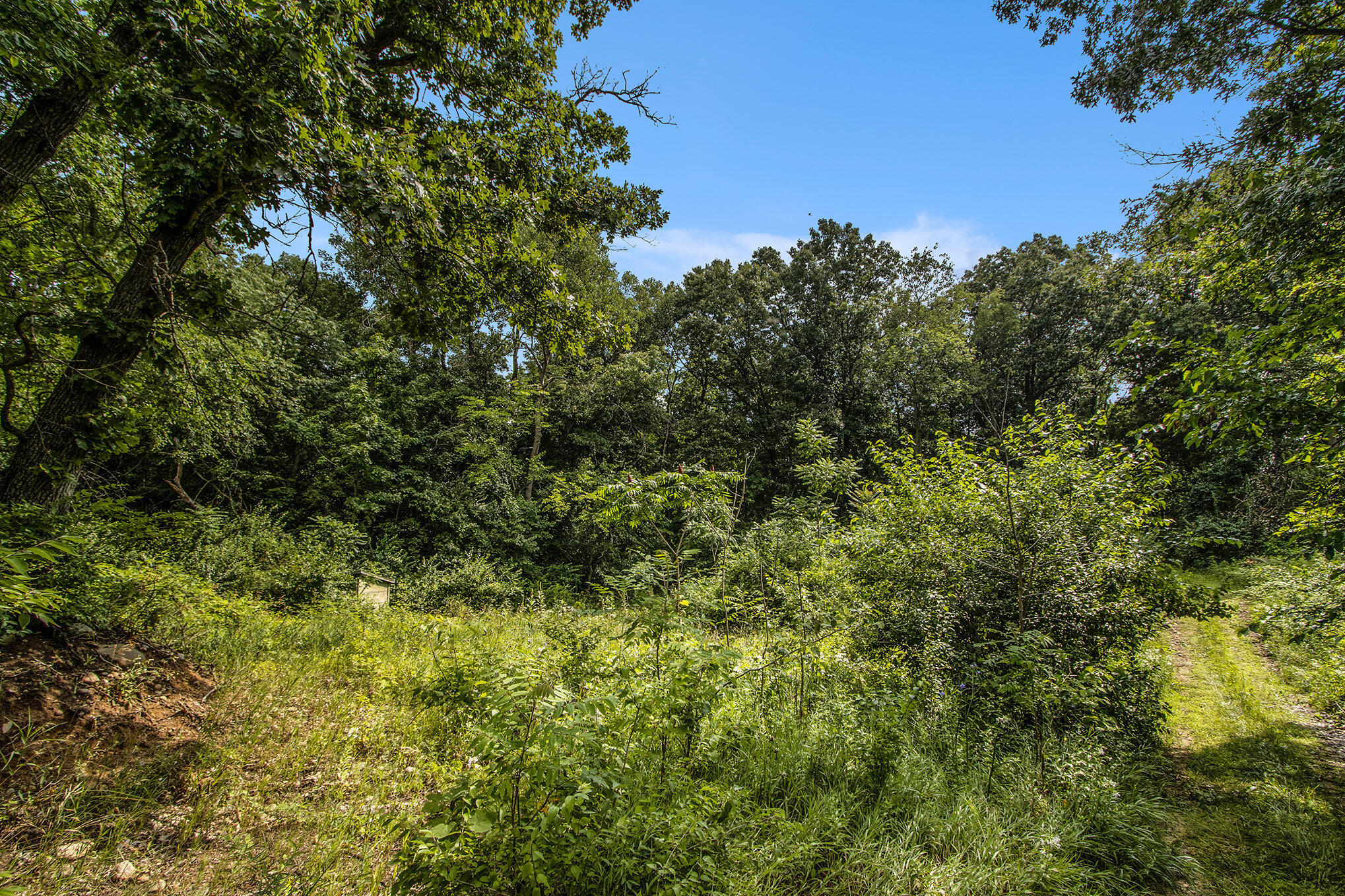 Sturgis, Michigan 49091, United States, ,Land,Active,168204