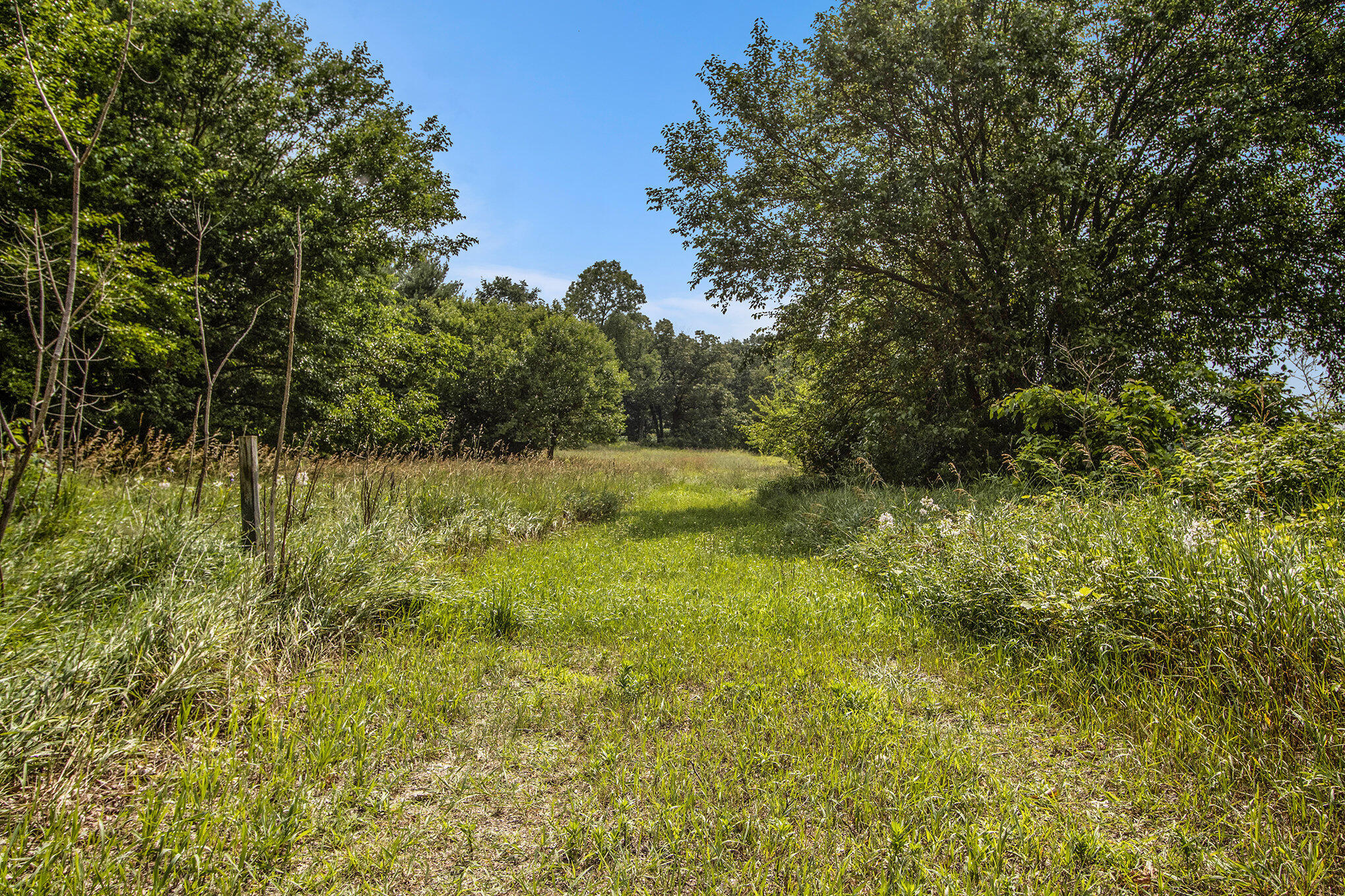 Sturgis, Michigan 49091, United States, ,Land,Active,168204