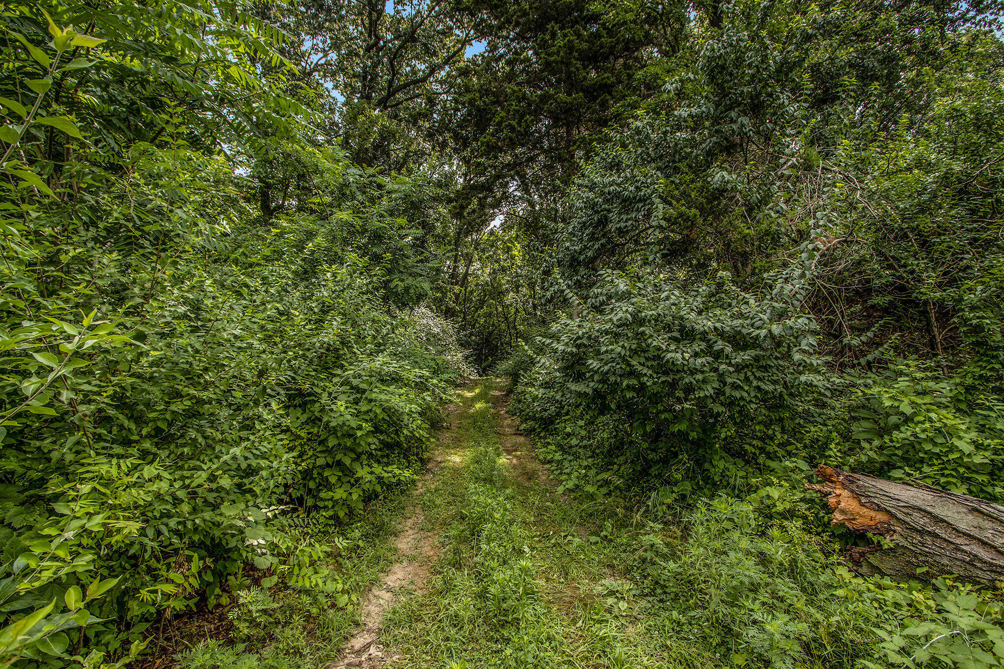 Sturgis, Michigan 49091, United States, ,Land,Active,168204