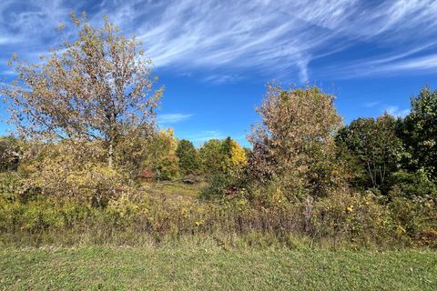 Photo of 5577 Cannon Meadows Drive, Ada, MI 49301 (MLS # 25053094)