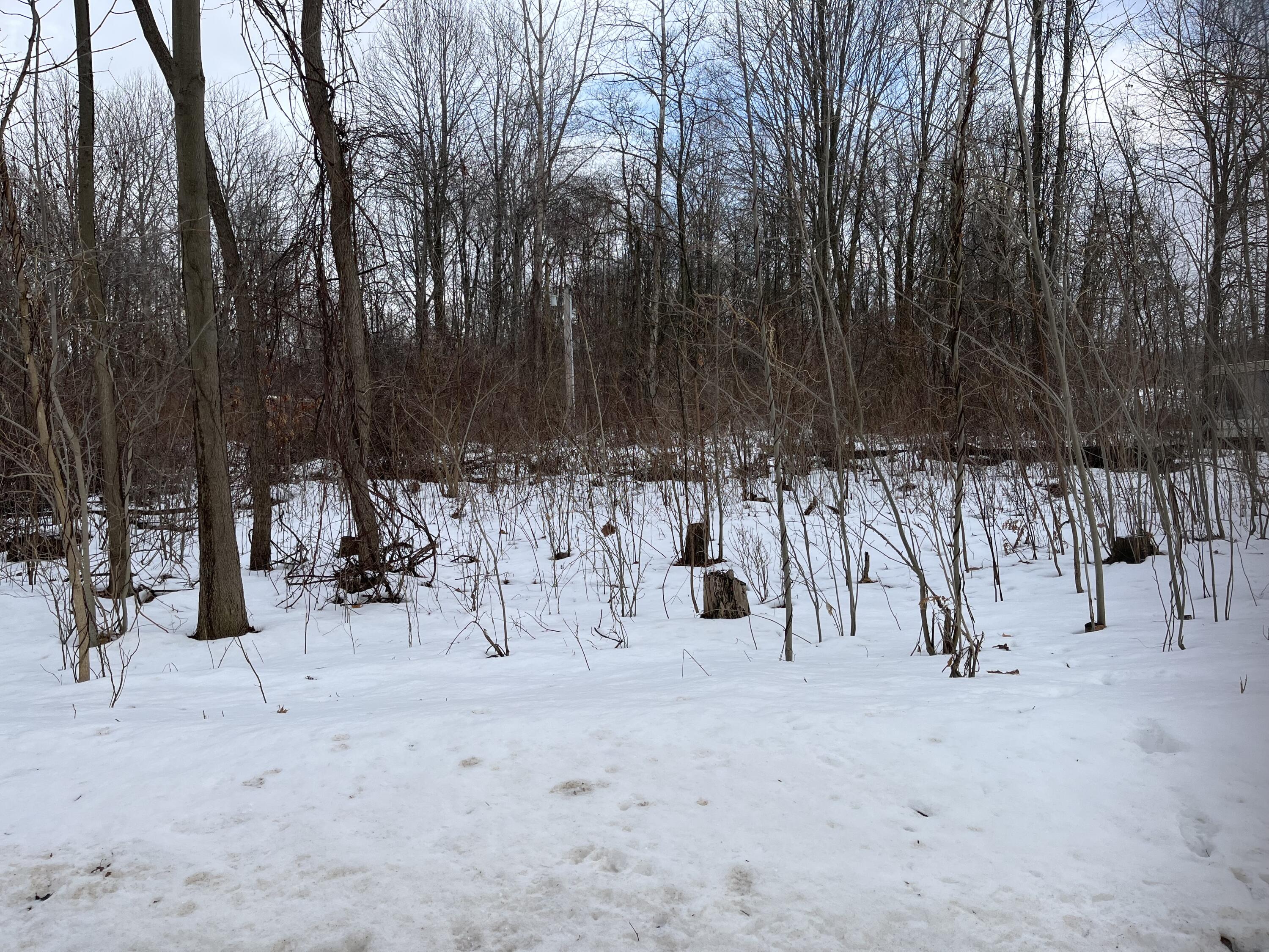 Grand Junction, Michigan 49056, United States, ,Land,Pending,44387