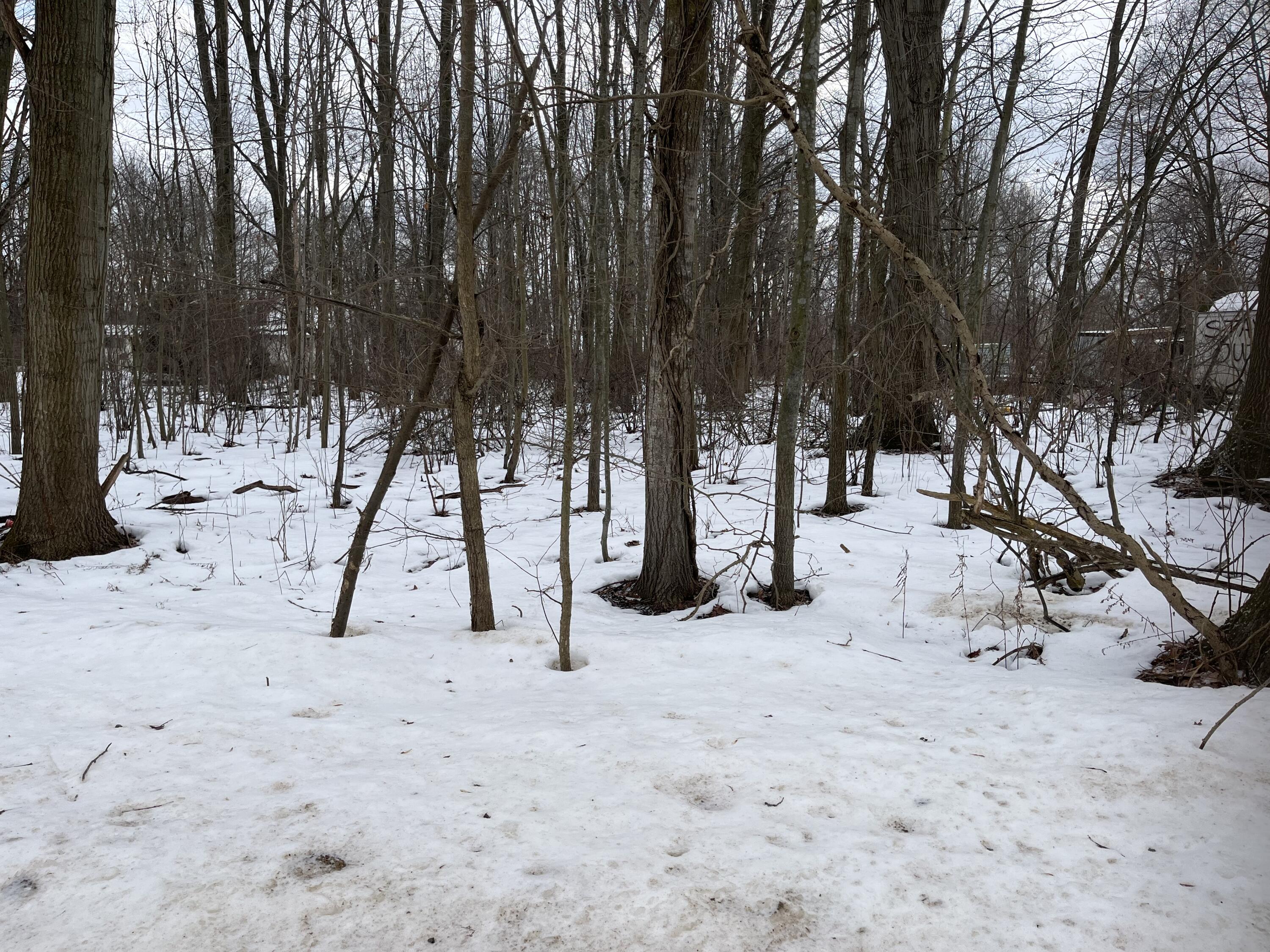 Grand Junction, Michigan 49056, United States, ,Land,Pending,44387