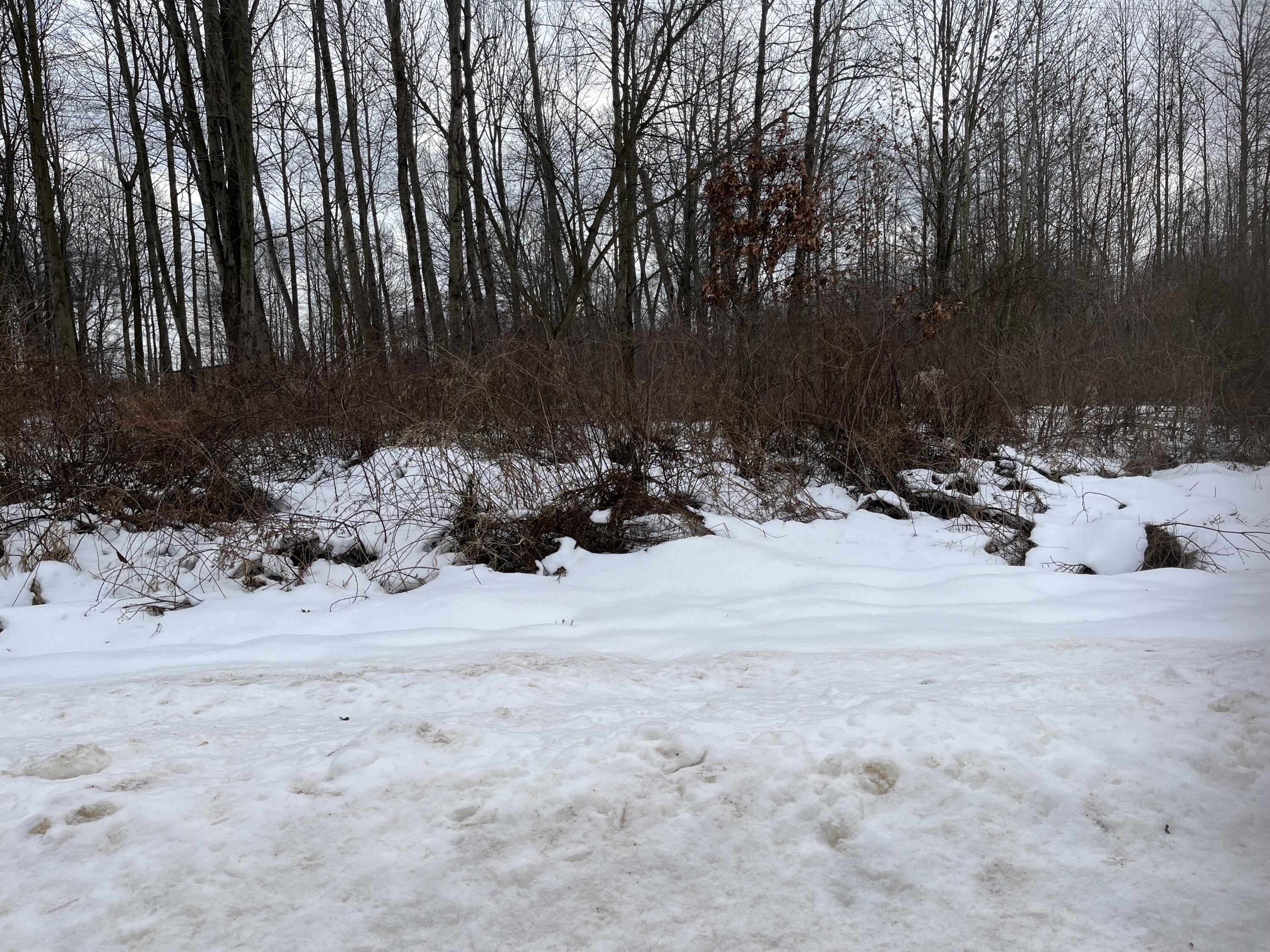 Grand Junction, Michigan 49056, United States, ,Land,Pending,44387