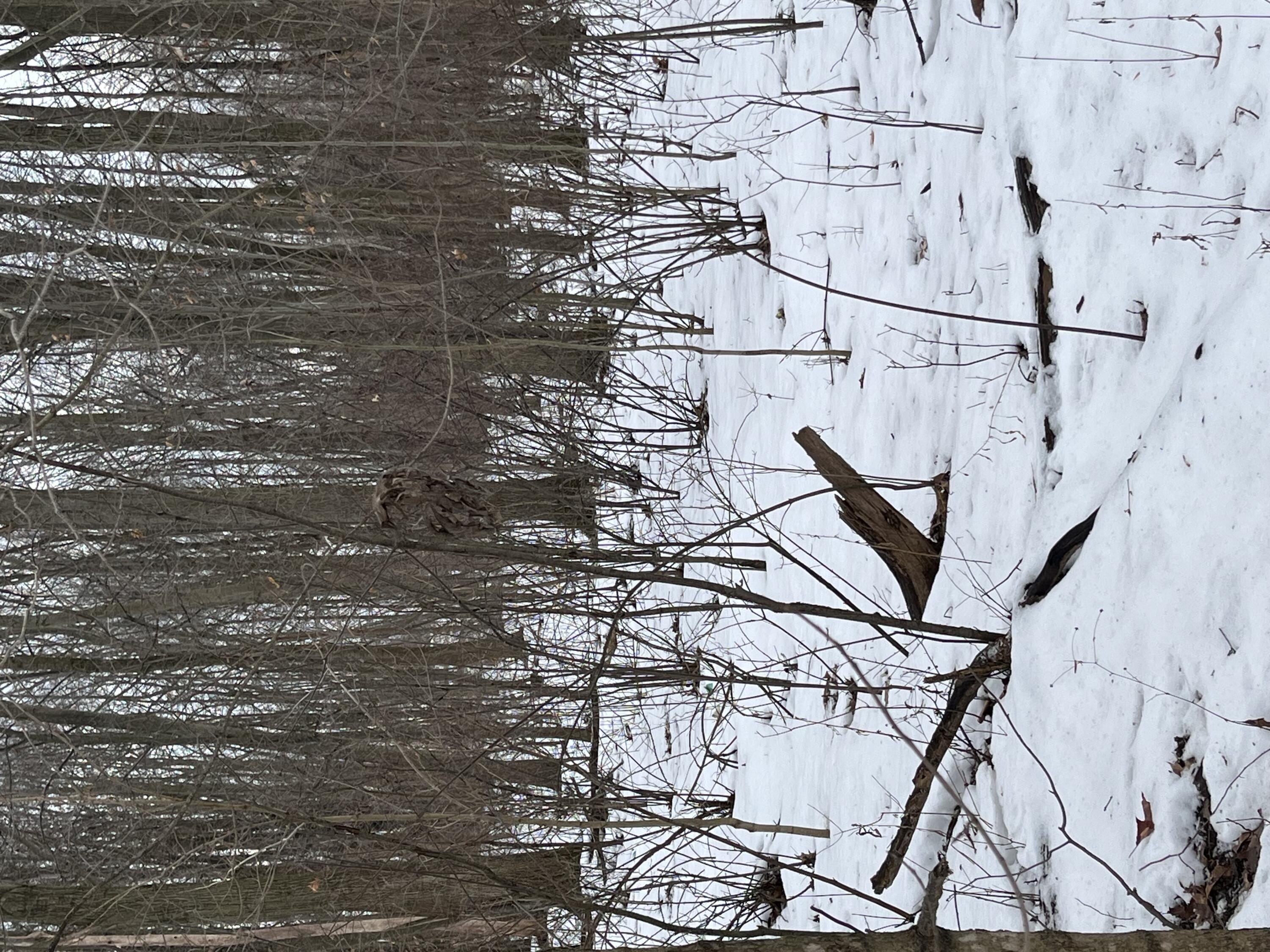 Grand Junction, Michigan 49056, United States, ,Land,Pending,44387