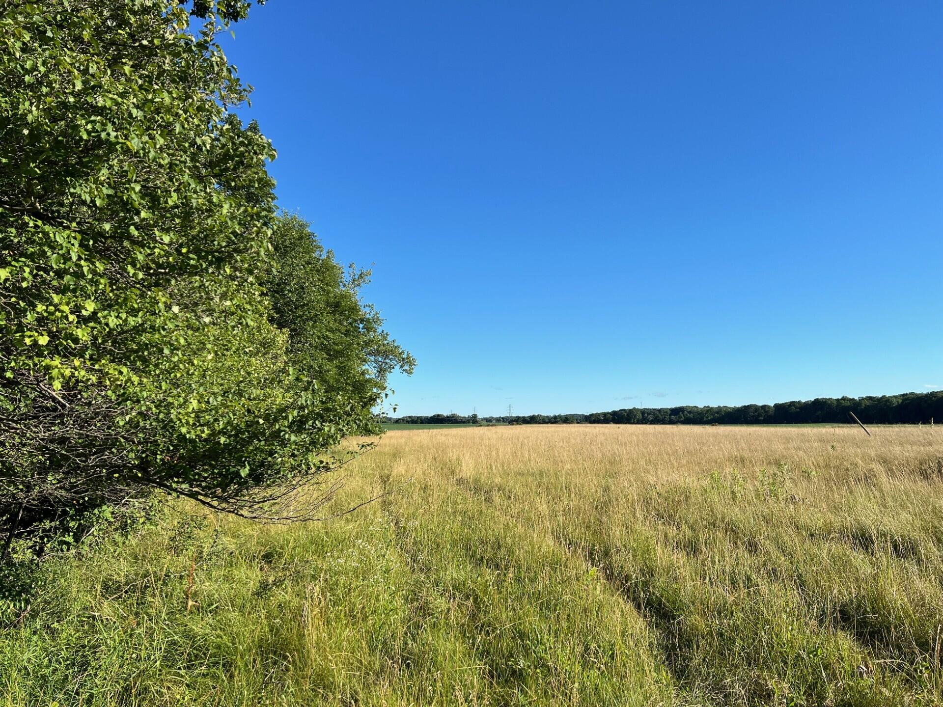 Three Oaks, Michigan 49128, United States, ,Land,Active,67607