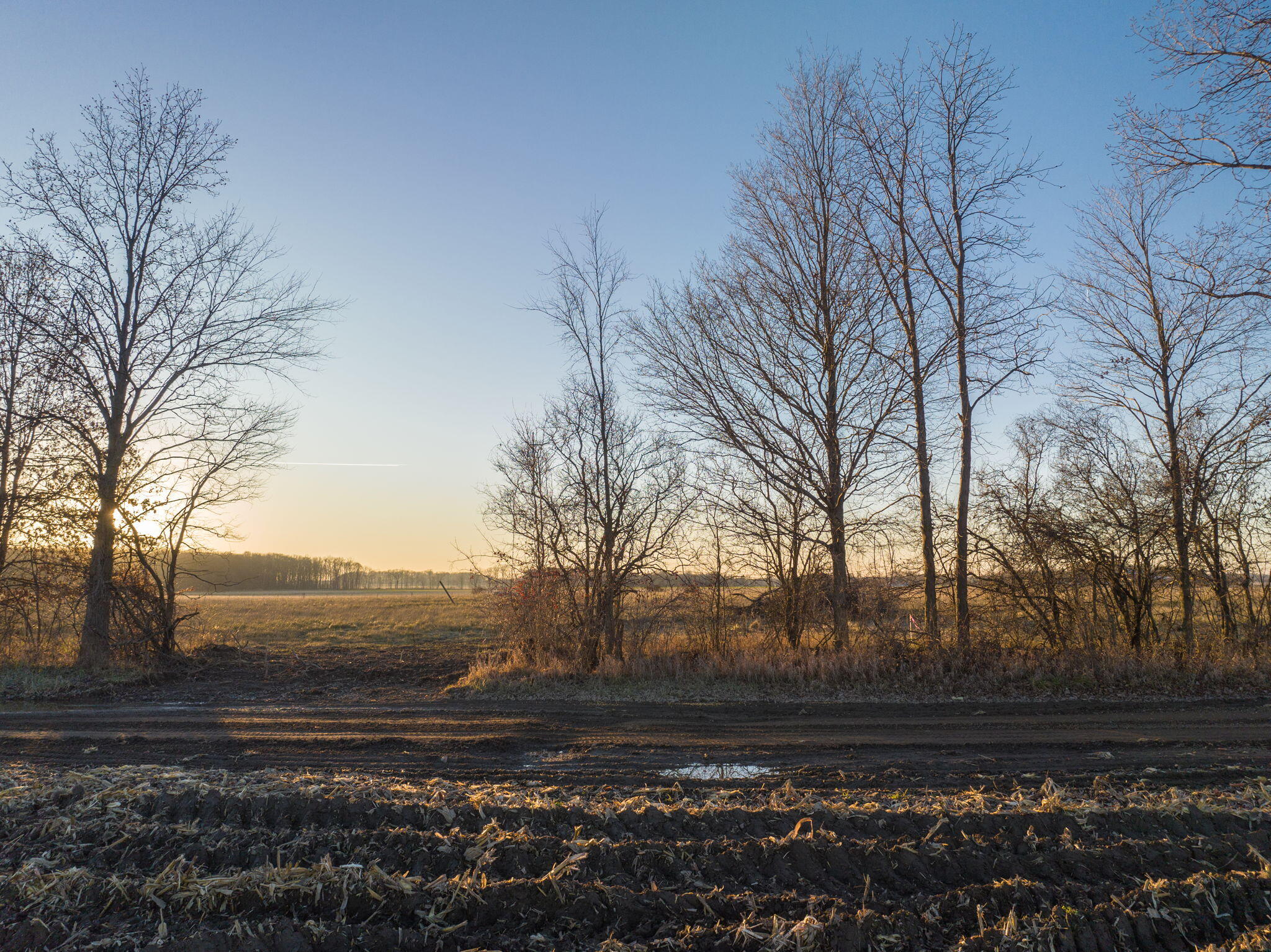 Three Oaks, Michigan 49128, United States, ,Land,Active,67607