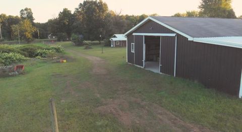 Photo of 7346 Grand River Road, Rives Junction, MI 49277 (MLS # 25044775)