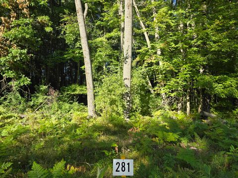 8161 Aspen Drive Stanwood MI 49346