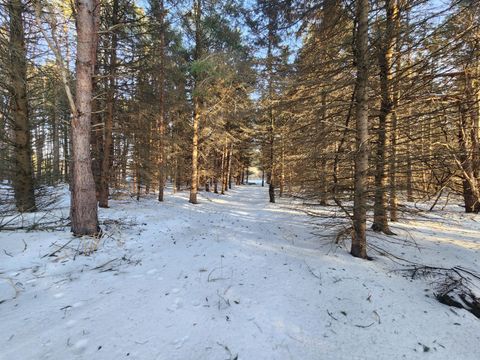 Photo of 2600 S Scottville Road, Scottville, MI 49454 (MLS # 26010970)