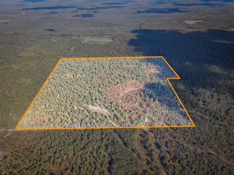 Photo of 23646 W 12 Mile Road, Wellston, MI 49689 (MLS # 26055024)