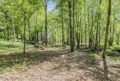 Photo of 2407 Gale Road, Eaton Rapids, MI 48827 (MLS # 25060967)