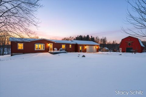 10195 Cox Road Bellevue MI 49021