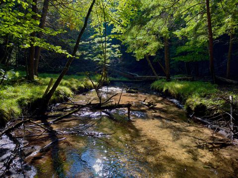 Photo of 18 W Woodrow Road, Shelby, MI 49455 (MLS # 25047857) Photo of 18 W Woodrow Road, Shelby, MI 49455 (MLS # 25047857)